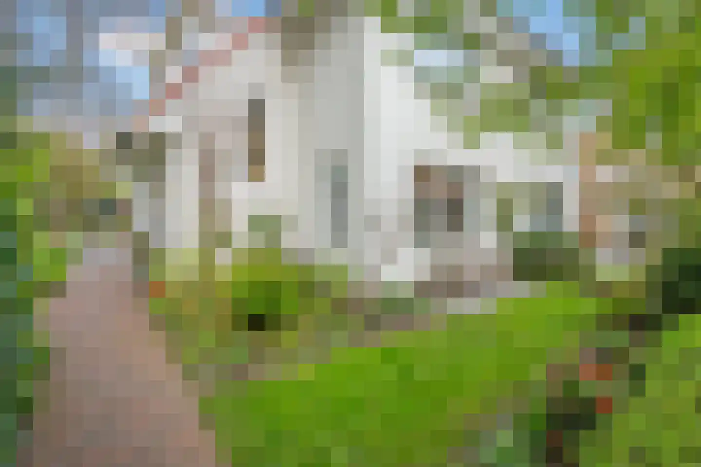 Lindelaan 18 Leidschendam thumbnail 6