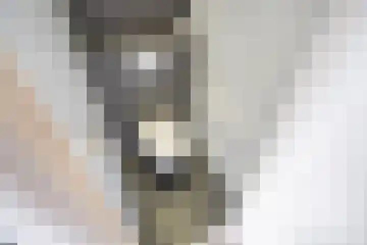Lindelaan 181 Rijswijk thumbnail 20