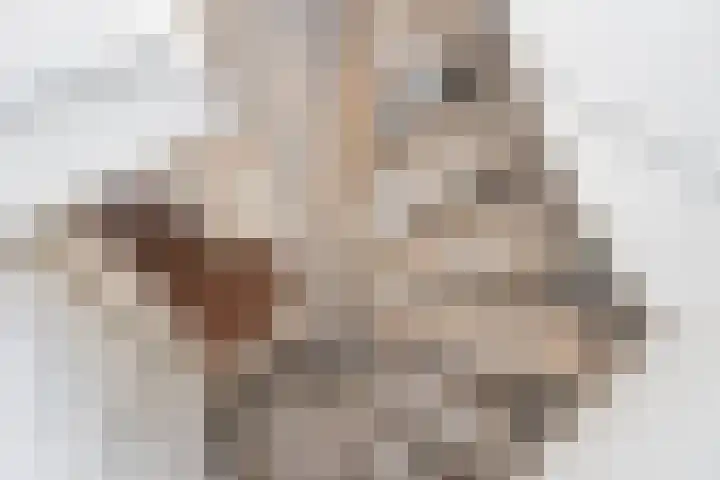 Lindelaan 181 Rijswijk thumbnail 30