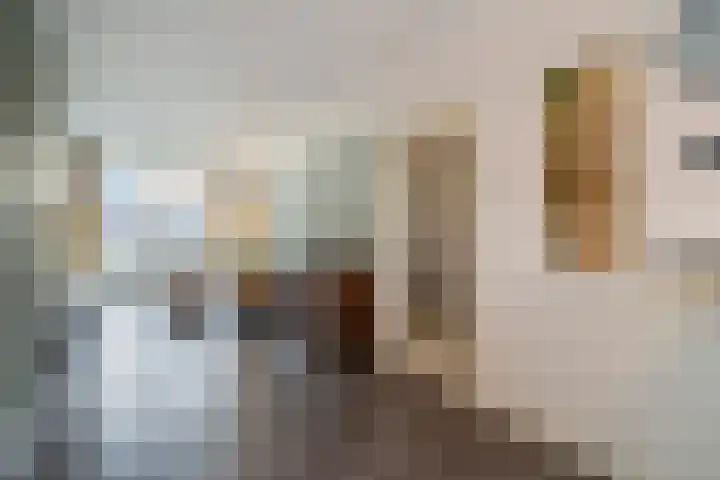 Lindelaan 181 Rijswijk thumbnail 5