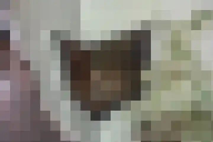 Lindelaan 181 Rijswijk thumbnail 9