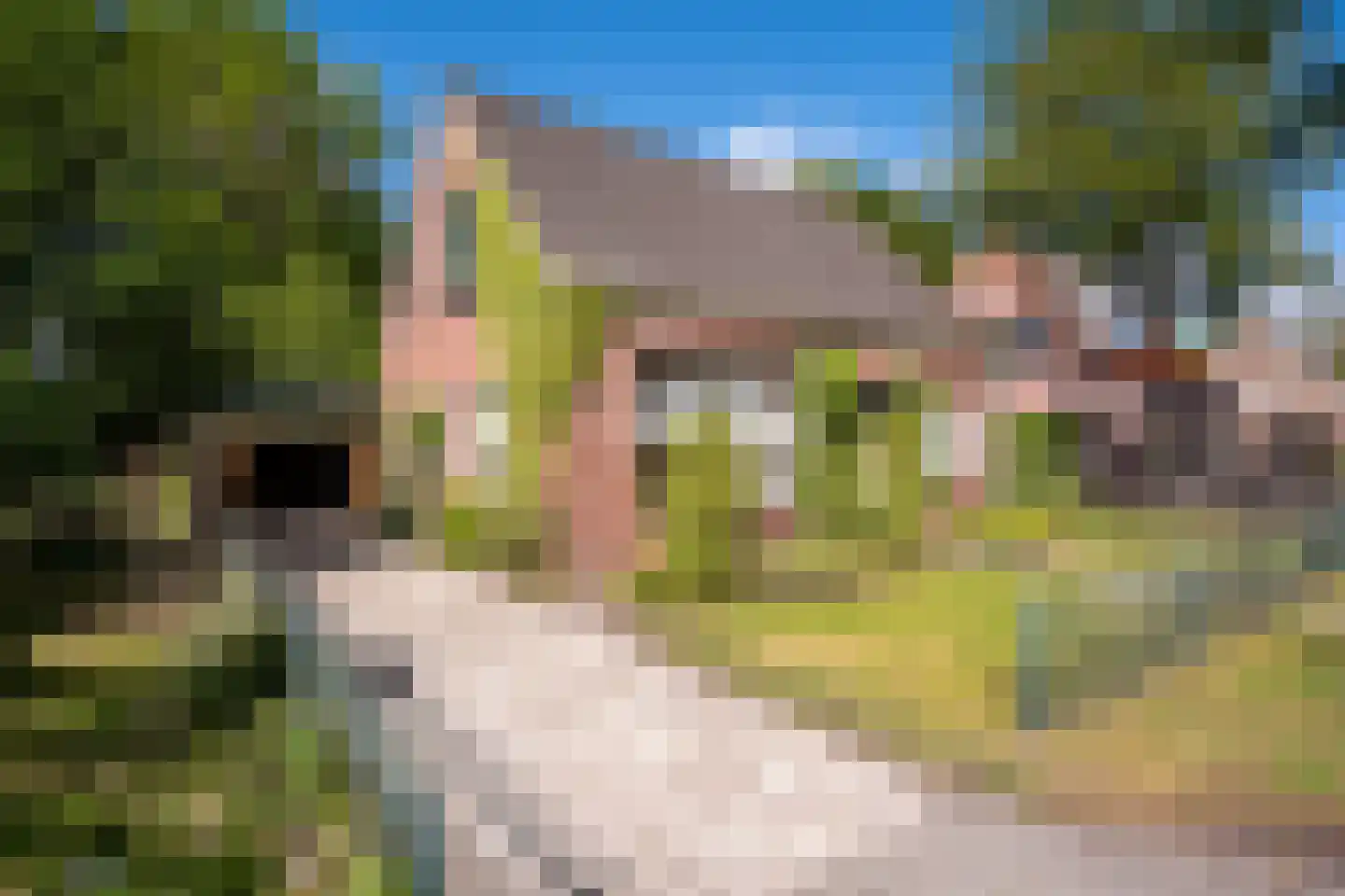 Lindelaan 19 in Westerbork
