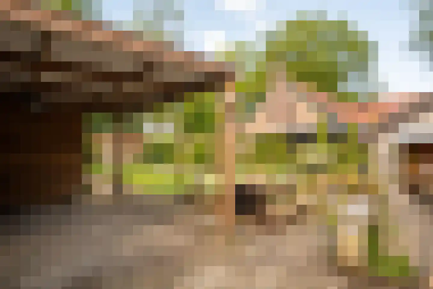 Lindelaan 19 Westerbork thumbnail 27