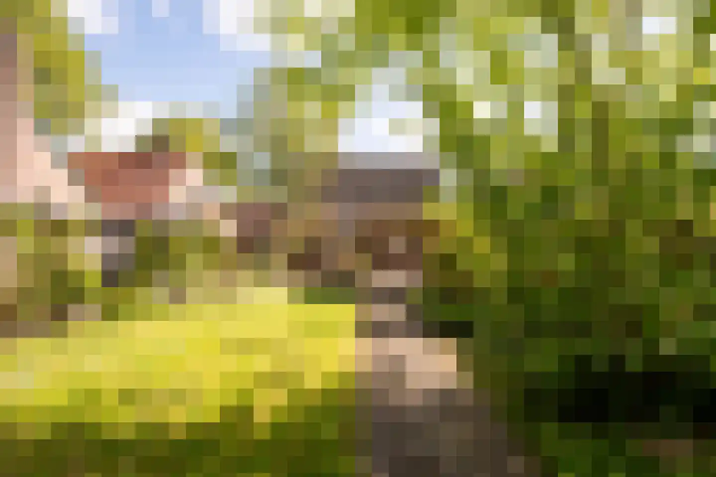 Lindelaan 19 Westerbork thumbnail 29