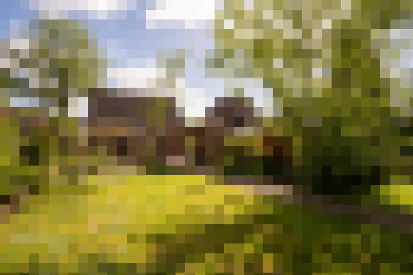 Lindelaan 19 Westerbork thumbnail 30