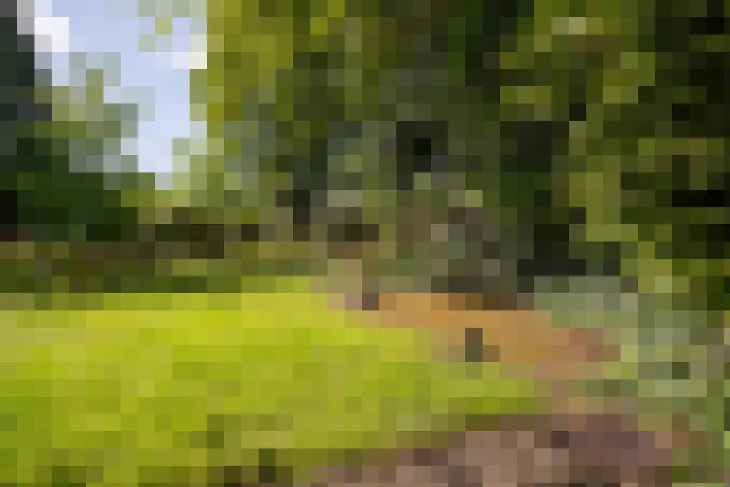 Lindelaan 19 Westerbork thumbnail 31