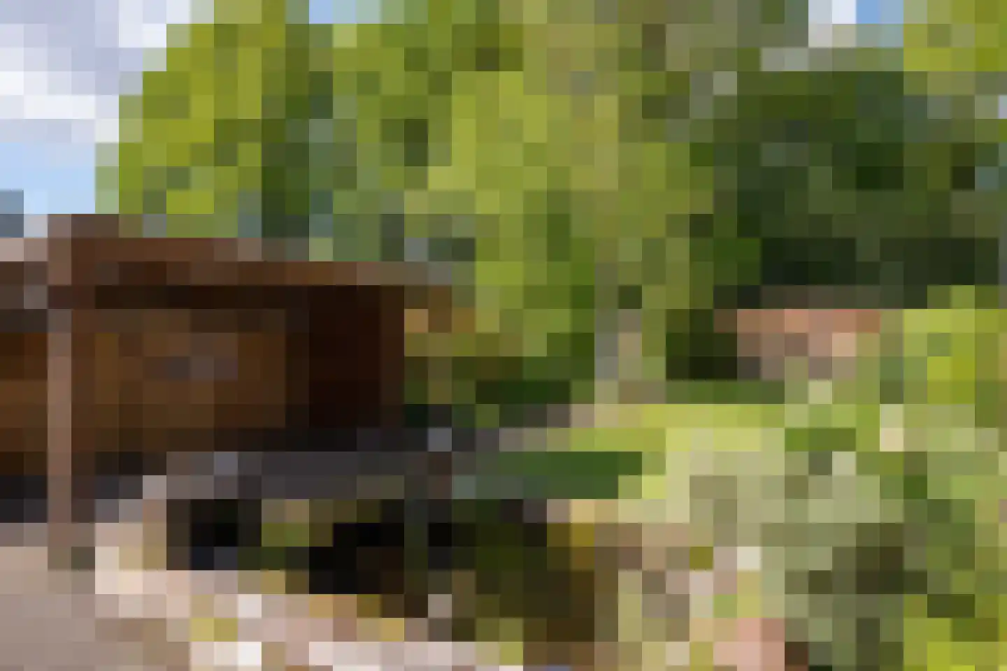 Lindelaan 19 Westerbork thumbnail 35