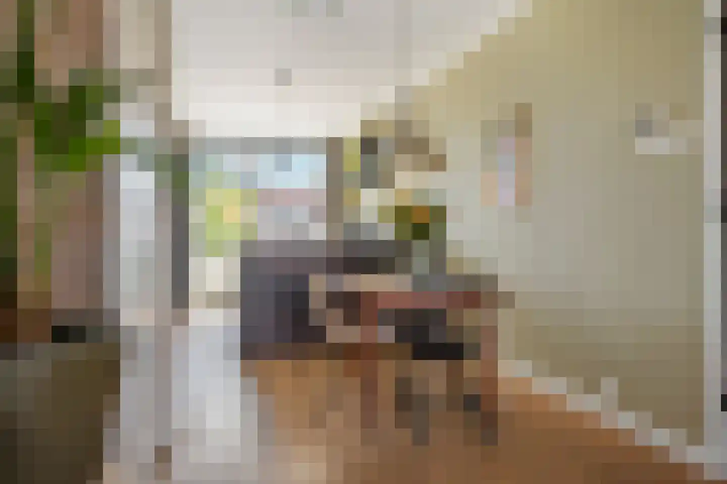 Lindelaan 197 Rijswijk thumbnail 11