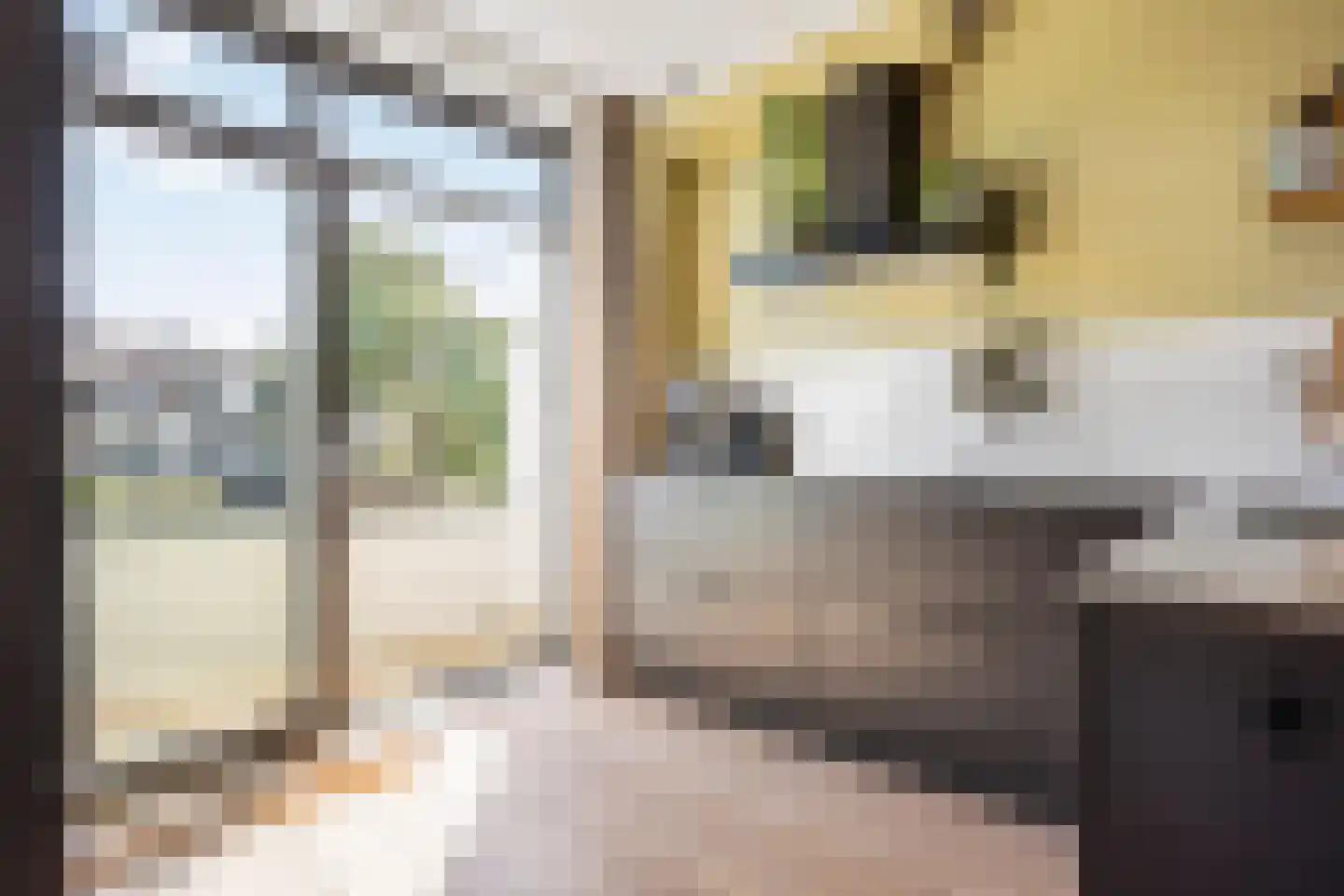 Lindelaan 197 Rijswijk thumbnail 15
