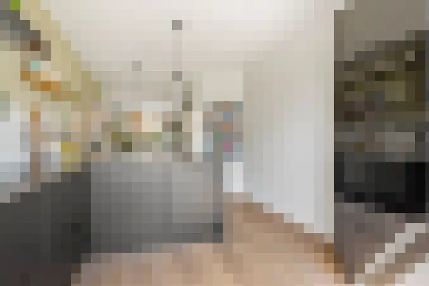 Lindelaan 197 Rijswijk thumbnail 17