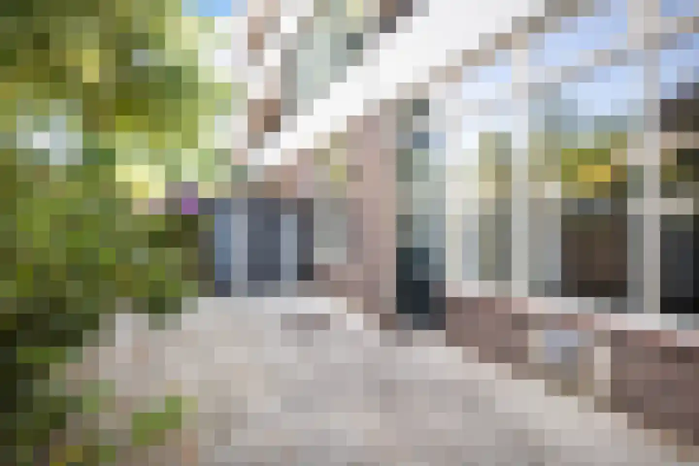 Lindelaan 2 Ede thumbnail 23