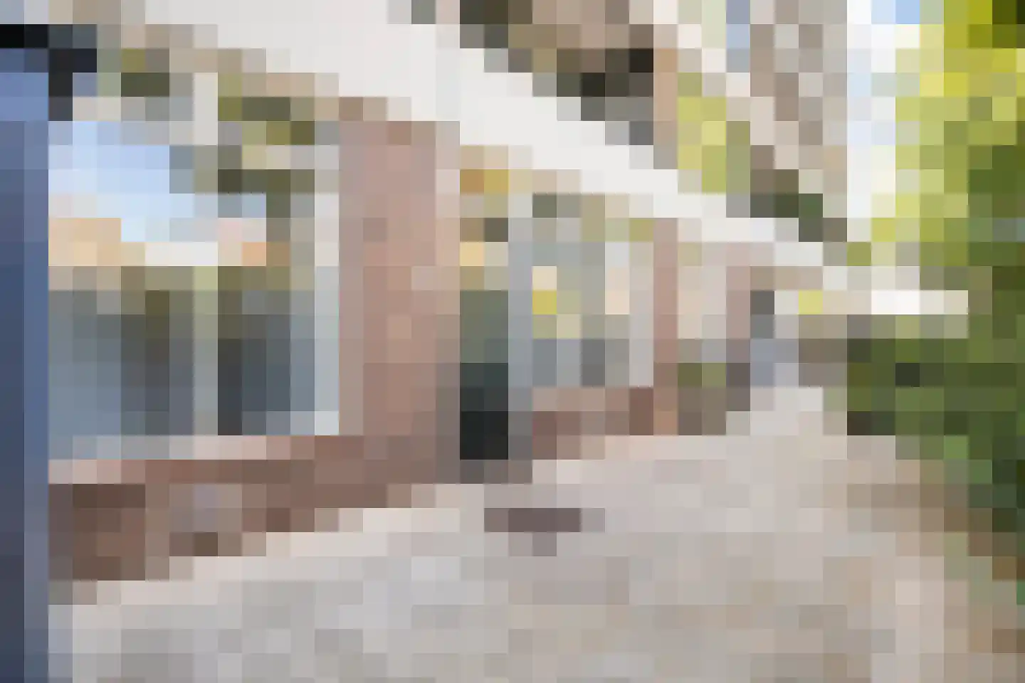 Lindelaan 2 Ede thumbnail 25