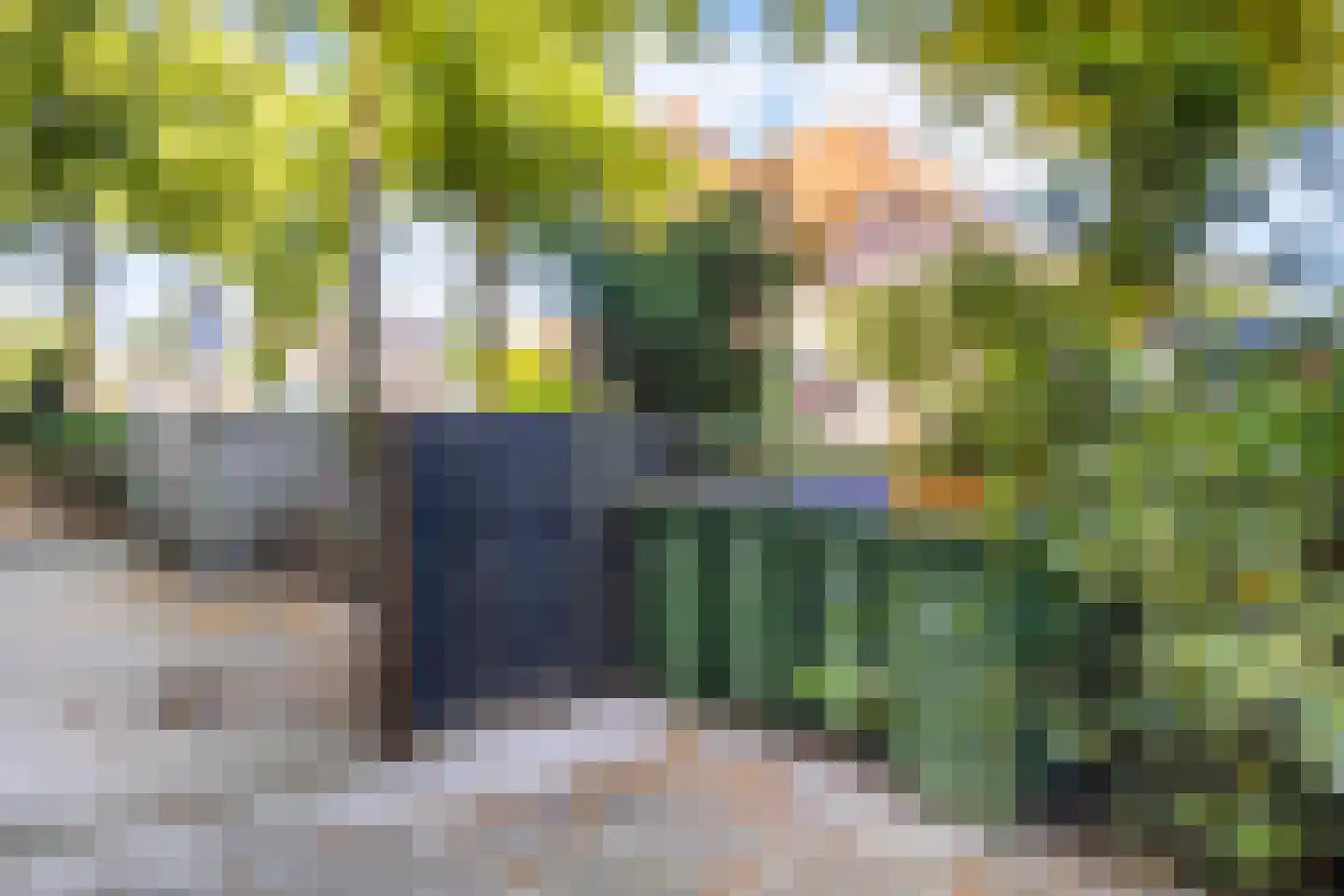 Lindelaan 2 Ede thumbnail 30