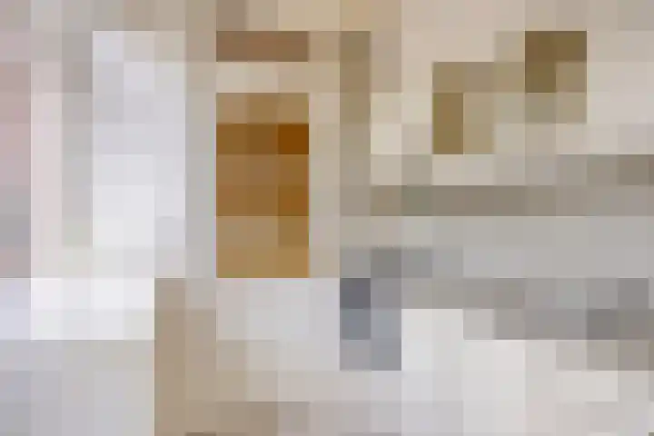 Lindelaan 2 Hoogland thumbnail 13
