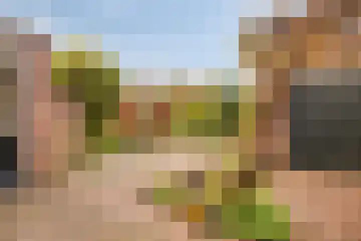 Lindelaan 2 Hoogland thumbnail 28