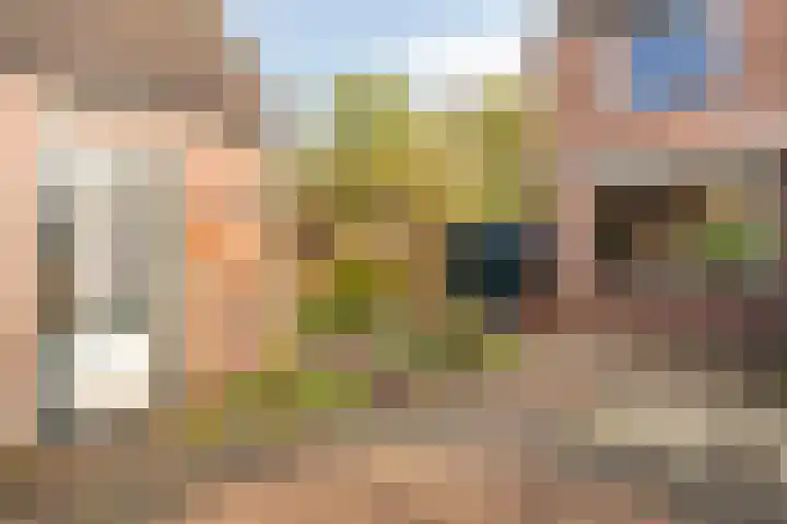 Lindelaan 2 Hoogland thumbnail 29