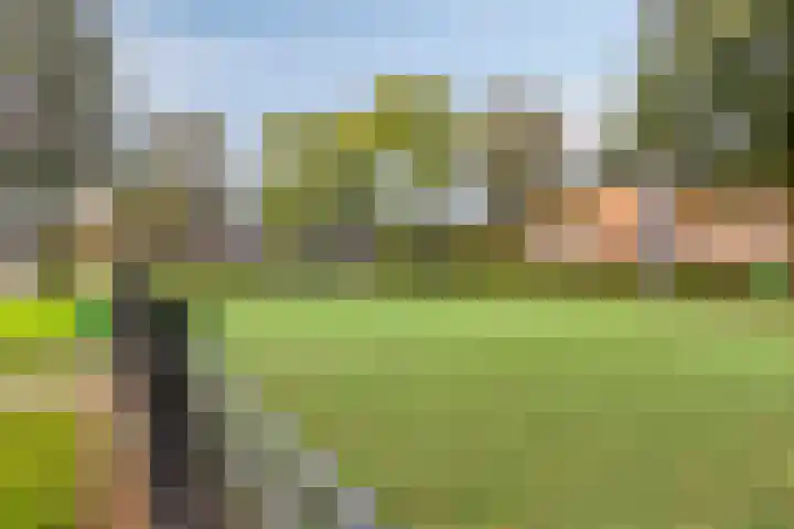 Lindelaan 2 Hoogland thumbnail 33