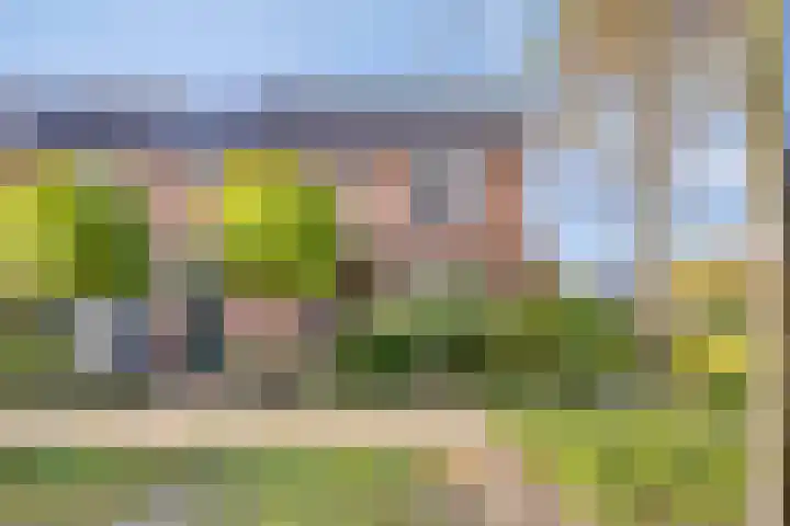 Lindelaan 2 Hoogland thumbnail 4