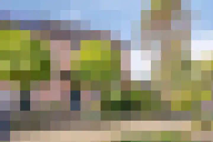 Lindelaan 2 Hoogland thumbnail 5