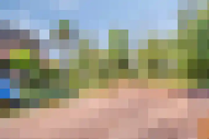 Lindelaan 2 Hoogland thumbnail 6