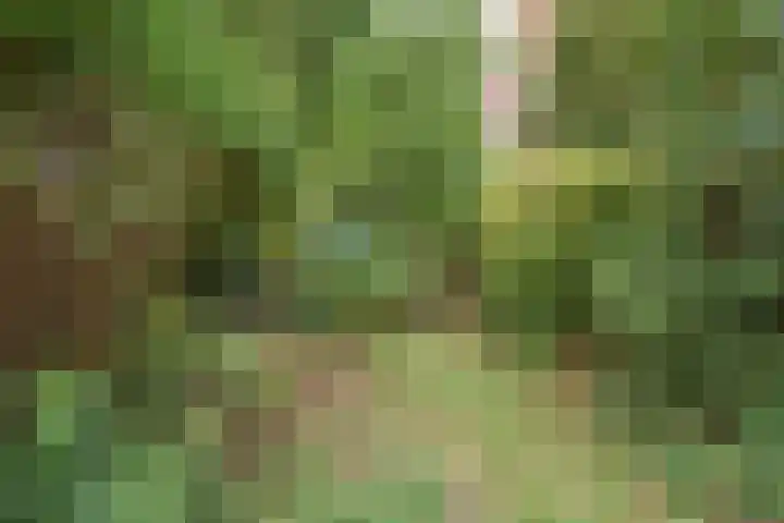 Lindelaan 2 Rijswijk thumbnail 11