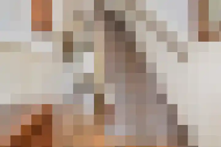 Lindelaan 2 Rijswijk thumbnail 14