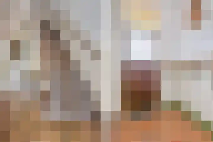 Lindelaan 2 Rijswijk thumbnail 16