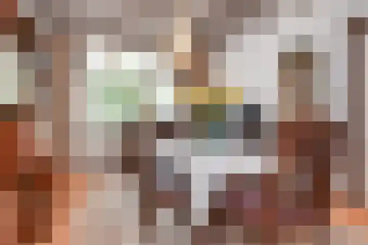Lindelaan 2 Rijswijk thumbnail 26