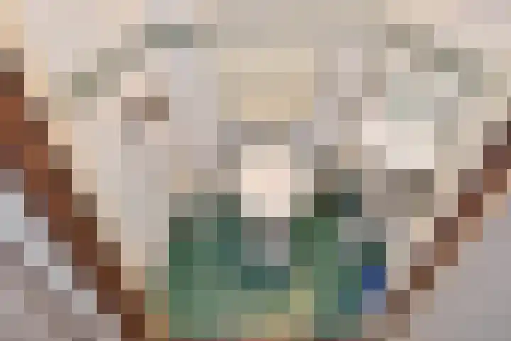 Lindelaan 2 Rijswijk thumbnail 31