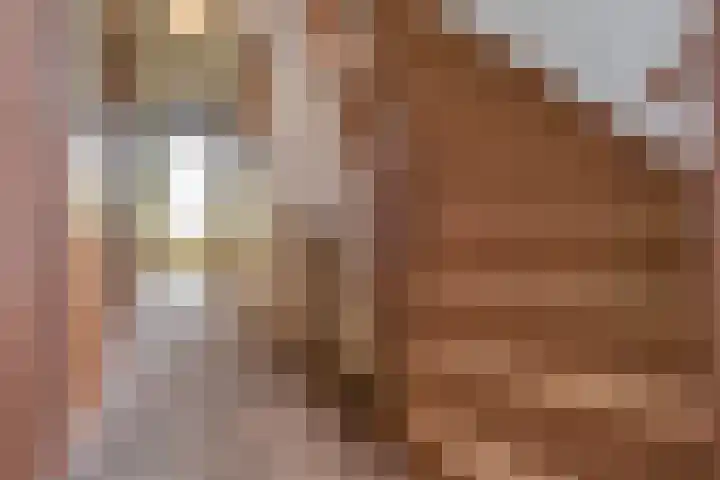 Lindelaan 2 Rijswijk thumbnail 32