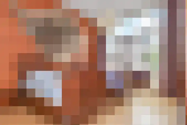 Lindelaan 2 Rijswijk thumbnail 34