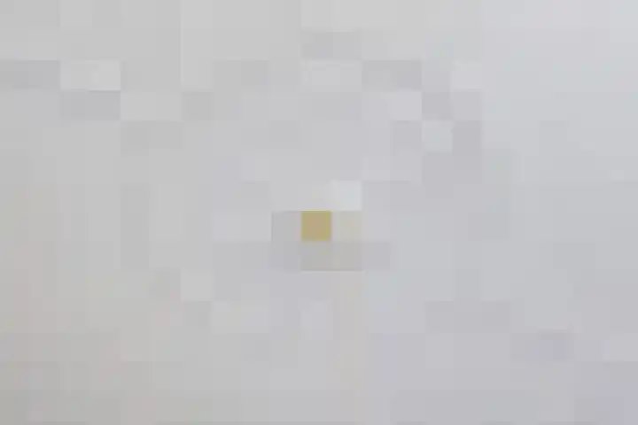 Lindelaan 2 Rijswijk thumbnail 37