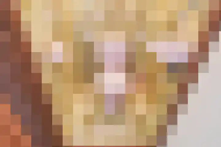 Lindelaan 2 Rijswijk thumbnail 38