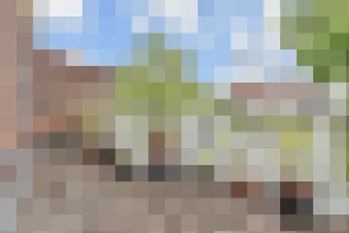 Lindelaan 2 Rijswijk thumbnail 46