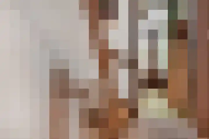 Lindelaan 2 Rijswijk thumbnail 49