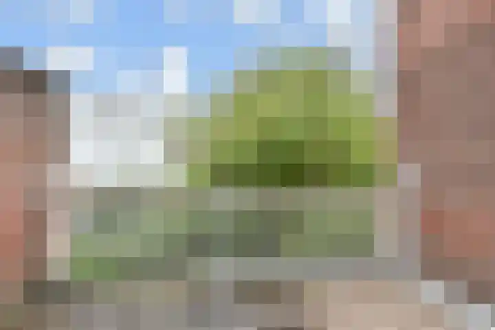 Lindelaan 2 Rijswijk thumbnail 65