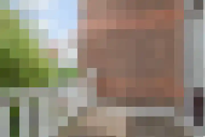 Lindelaan 2 Rijswijk thumbnail 66