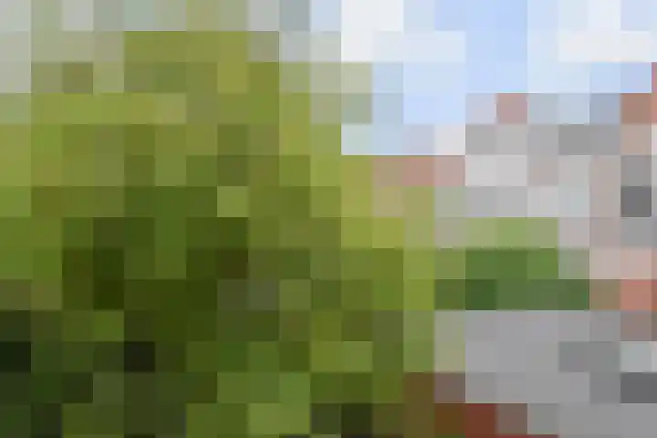 Lindelaan 2 Rijswijk thumbnail 68