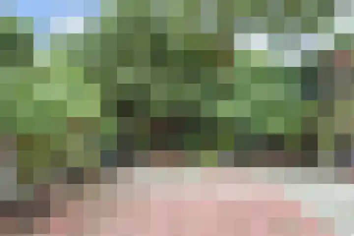 Lindelaan 2 Rijswijk thumbnail 70