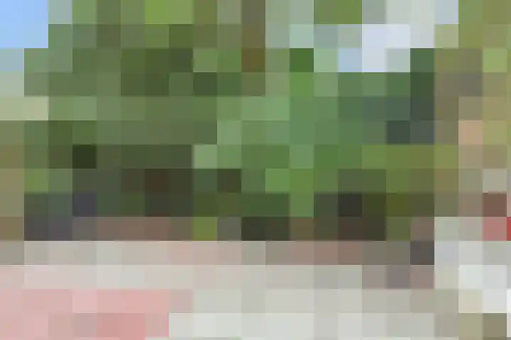 Lindelaan 2 Rijswijk thumbnail 71