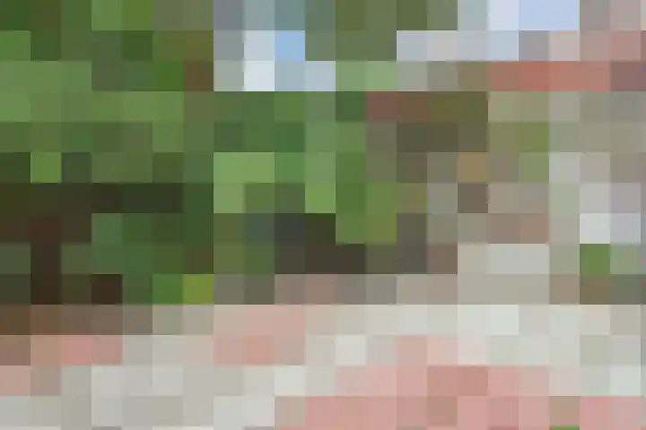 Lindelaan 2 Rijswijk thumbnail 72