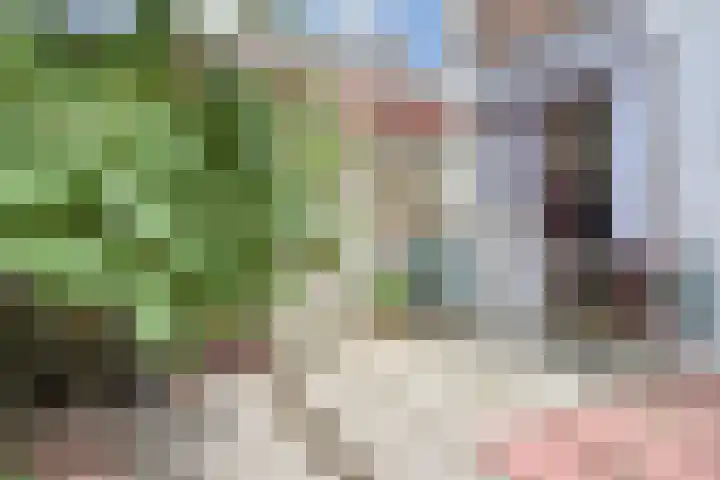Lindelaan 2 Rijswijk thumbnail 73