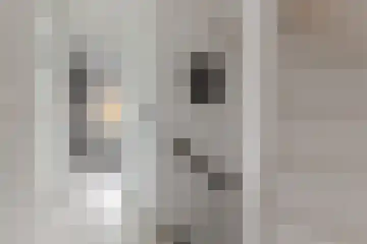 Lindelaan 20 Krommenie thumbnail 12