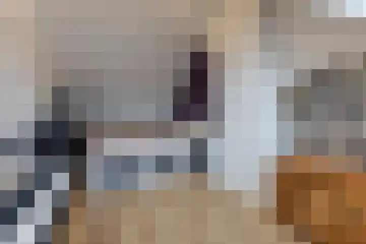 Lindelaan 20 Krommenie thumbnail 23