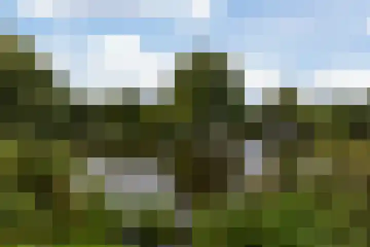 Lindelaan 20 Krommenie thumbnail 30