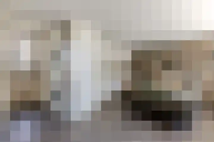 Lindelaan 21 Krommenie thumbnail 12
