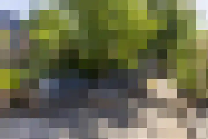 Lindelaan 21 Krommenie thumbnail 28