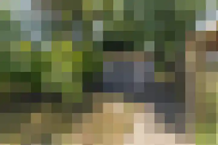 Lindelaan 21 Krommenie thumbnail 29