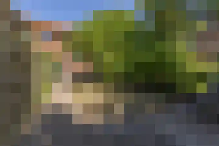 Lindelaan 21 Krommenie thumbnail 30