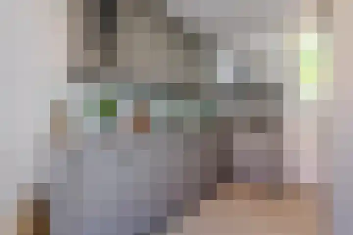 Lindelaan 21 Krommenie thumbnail 6